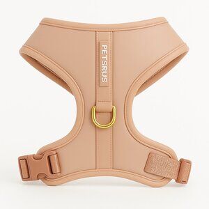 PETsRUS Premium No Pull Dog Harness 2 Leash Clips Beige Leather Neoprene Gold